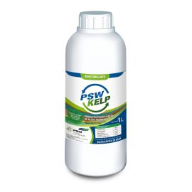 PSW KELP
